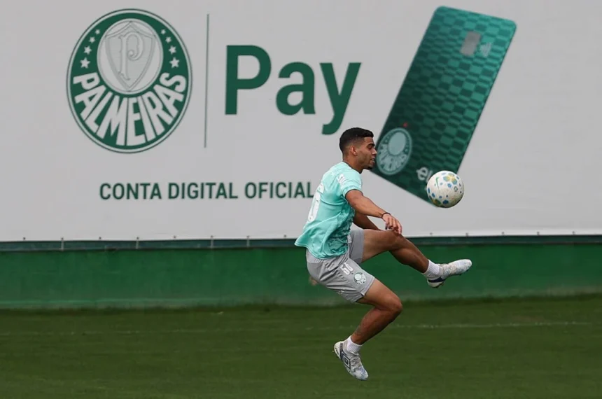 Palmeiras