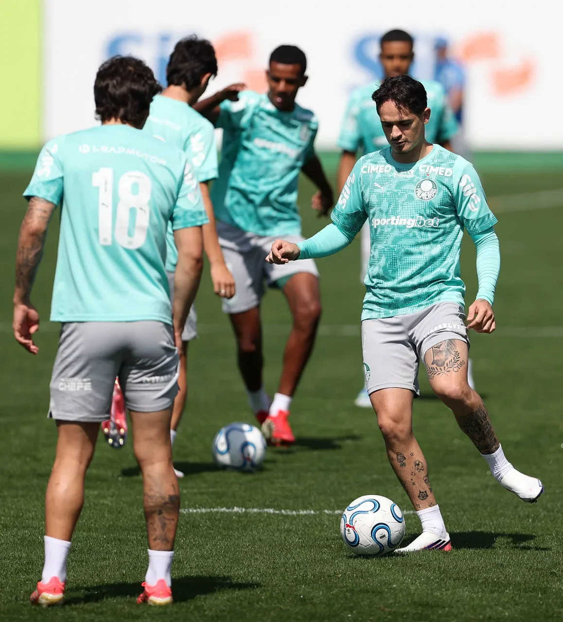 (Foto: Cesar Greco/Palmeiras/by Canon)