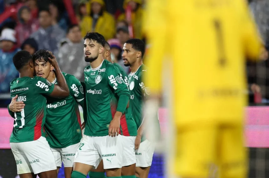 palmeiras