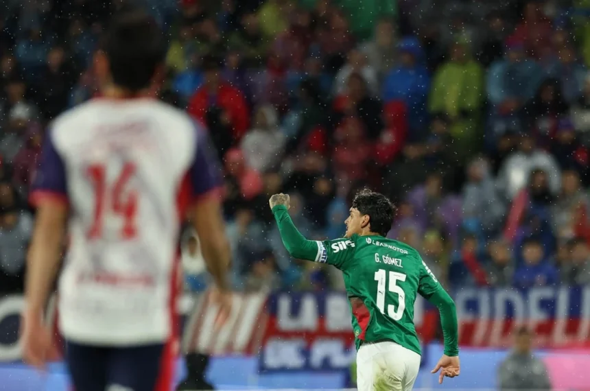 palmeiras