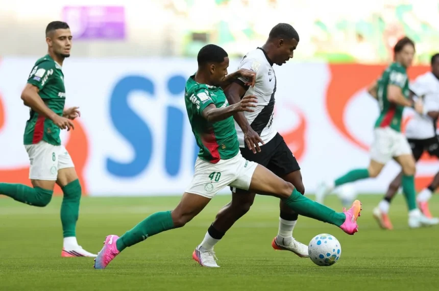 Palmeiras Allan