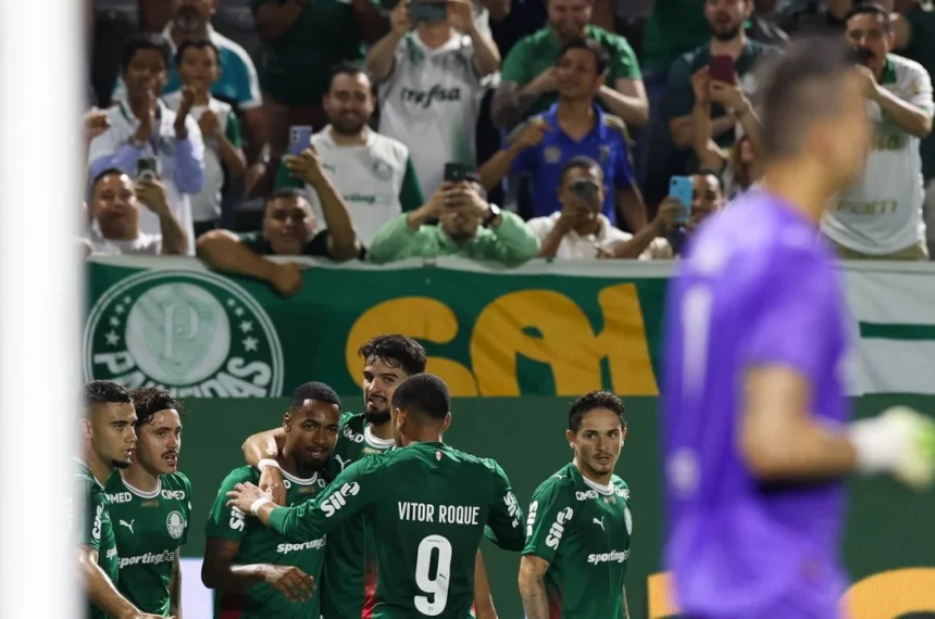 palmeiras