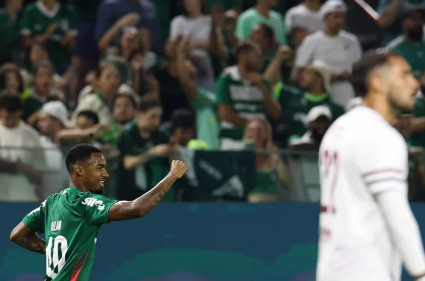 palmeiras