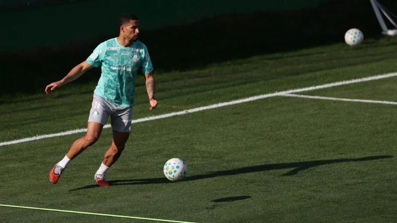 palmeiras