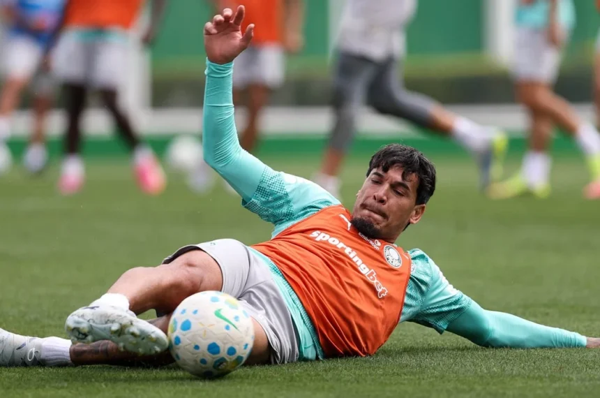 Palmeiras