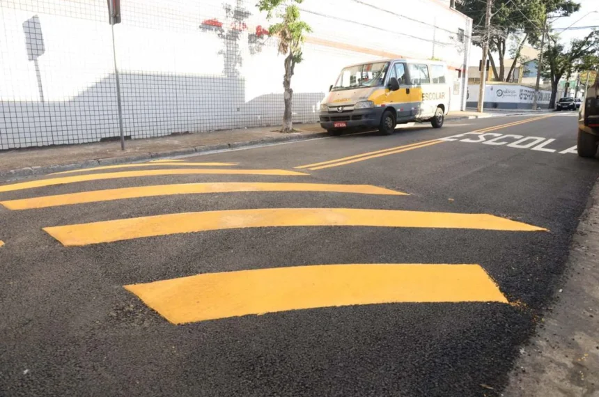 Meu Bairro Novo