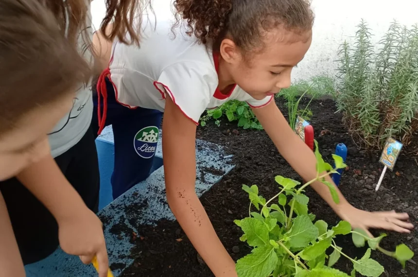 Colégio Singular | Essência Singular | Educação Infantil