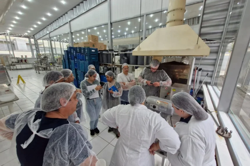 Curso - Panettones