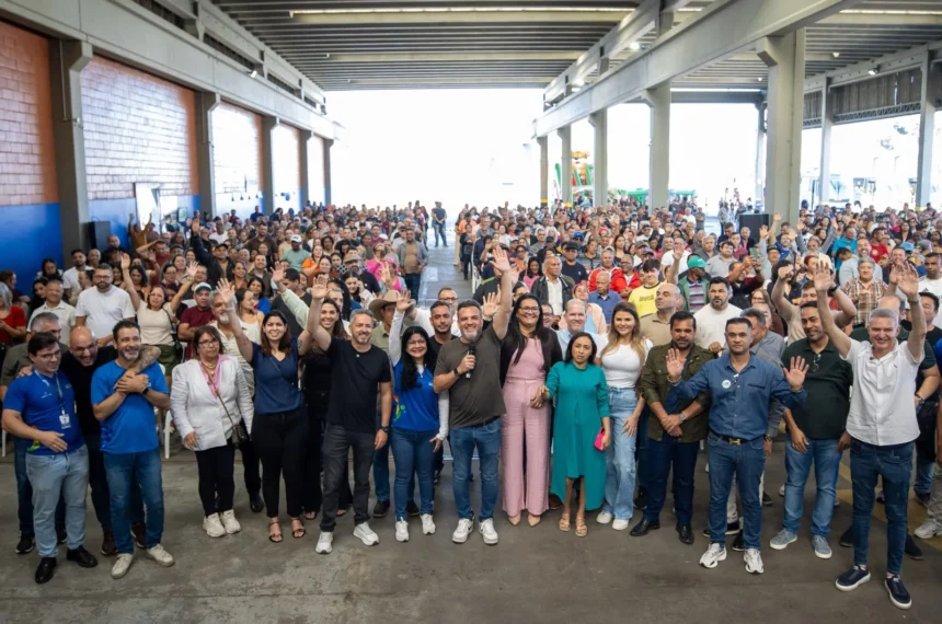 matrículas
