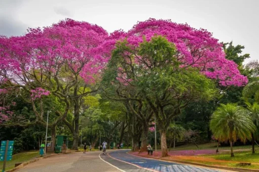 Parque Ibirapuera comemora 72 anos com programação gratuita