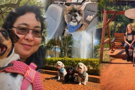 Turismo pet friendly cresce e ganha força em São Paulo