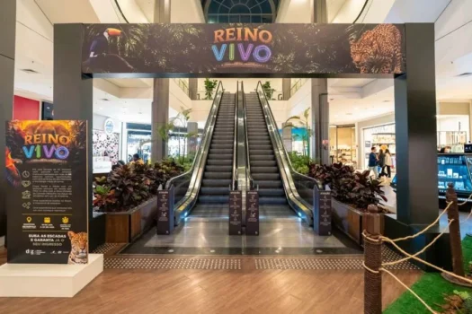 Reino Vivo entra na reta final no Shopping Metrópole