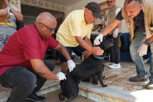São Gonçalo vacina cães e gatos em 60 postos contra a raiva