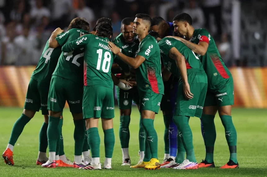Palmeiras abel