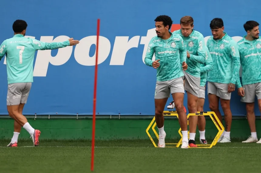 palmeiras