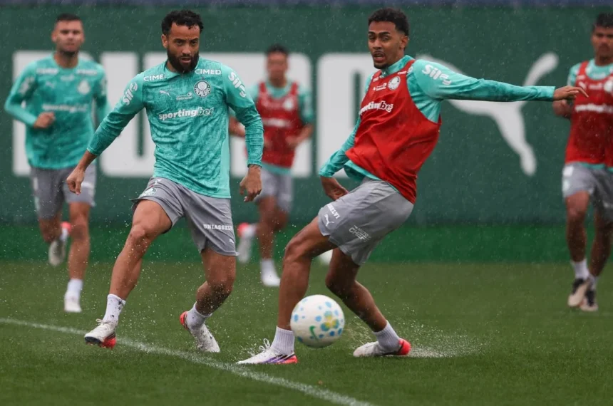 Palmeiras