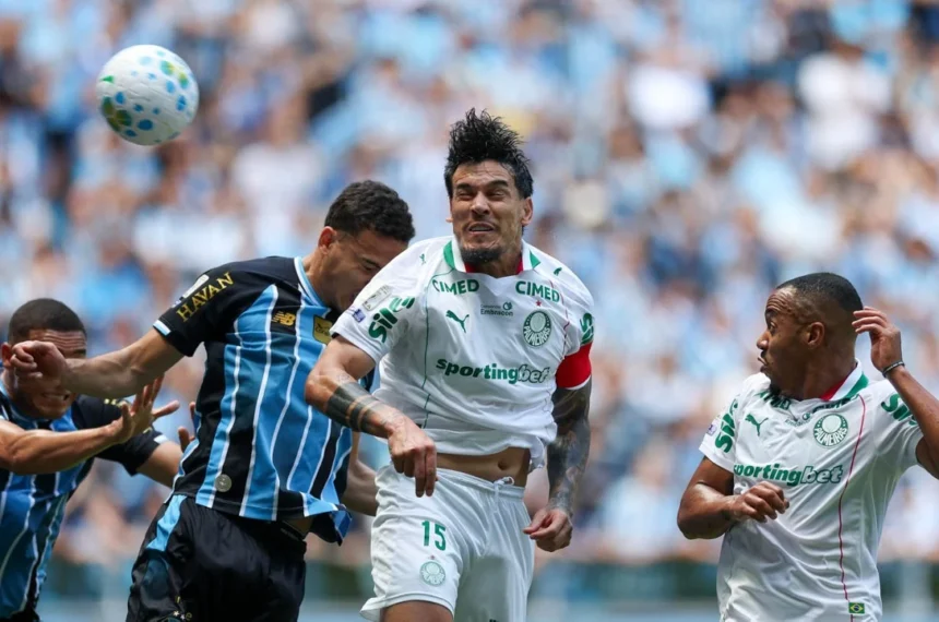 Palmeiras gomez