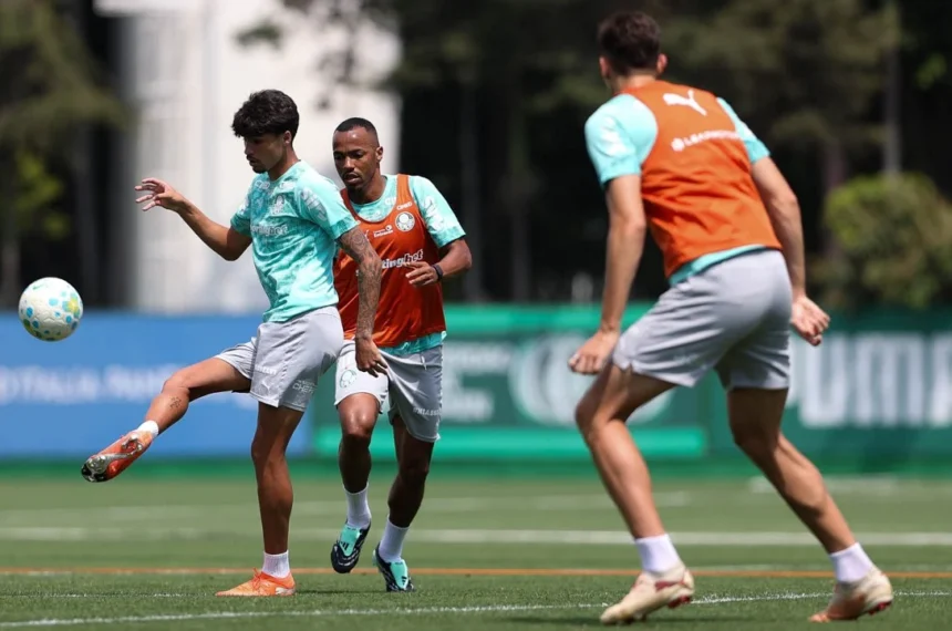 Palmeiras
