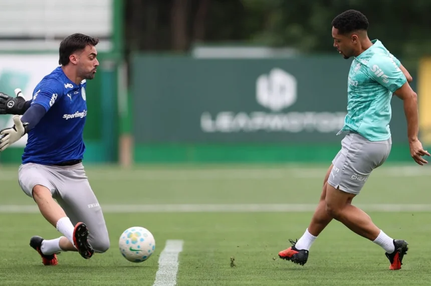 Palmeiras