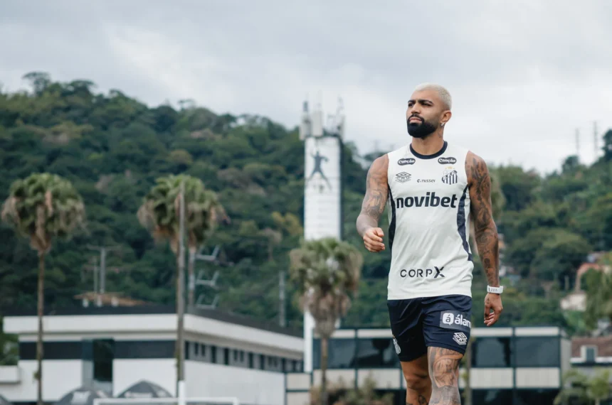 santos gabigol