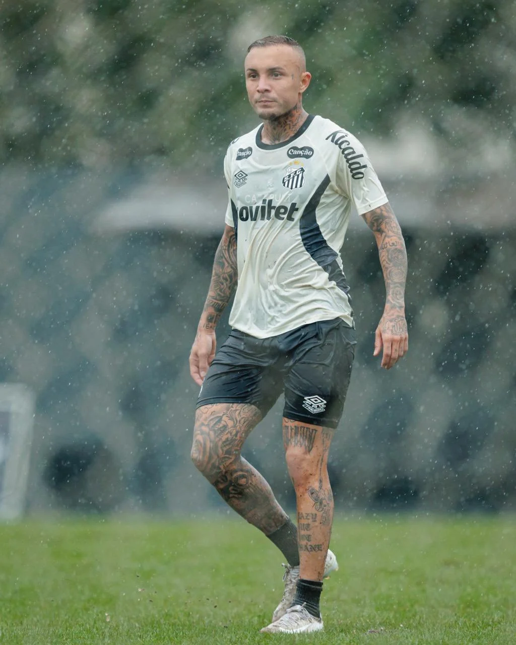santos cebolinha
