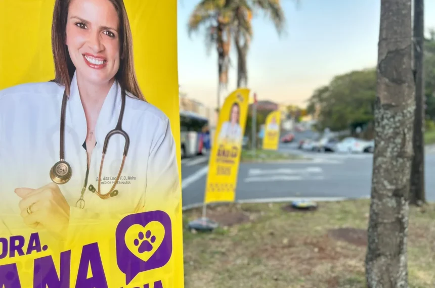 Clóvis Girardi lança aplicativo para fiscalizar propaganda eleitoral em Santo André