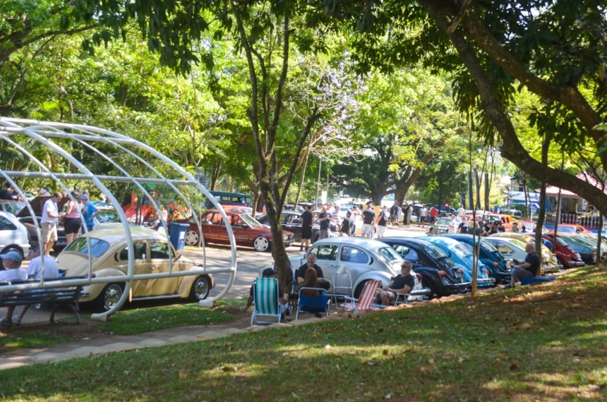  carros antigos