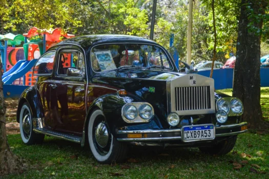 Bosque do Povo recebe encontro de carros antigos no domingo