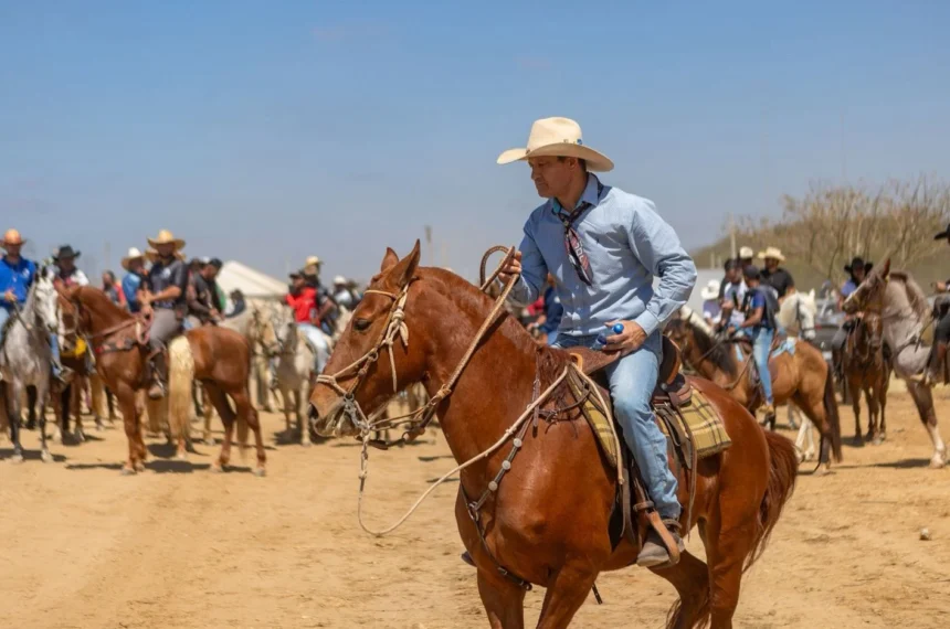 Rodeio Fest