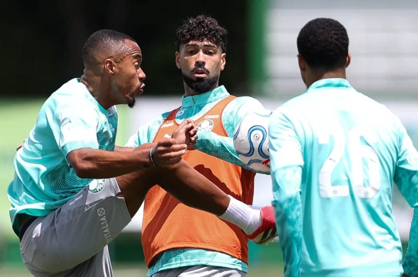 palmeiras