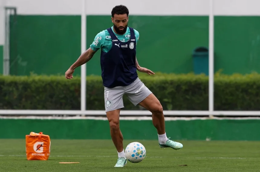 Palmeiras