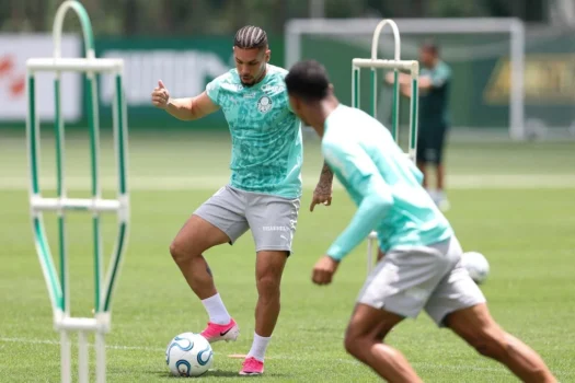 Palmeiras começa preparativos para decisão contra o Flu na Libertadores