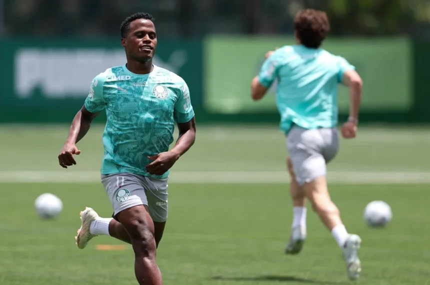 Palmeiras