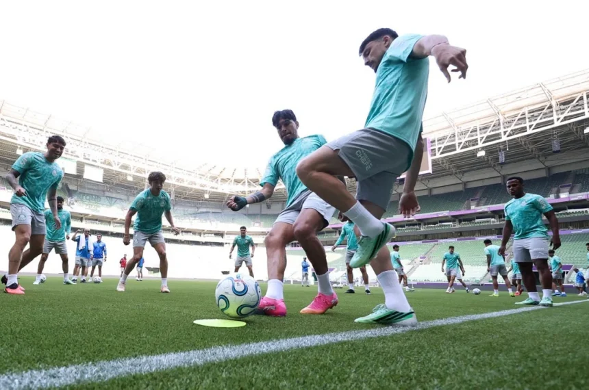 Palmeiras
