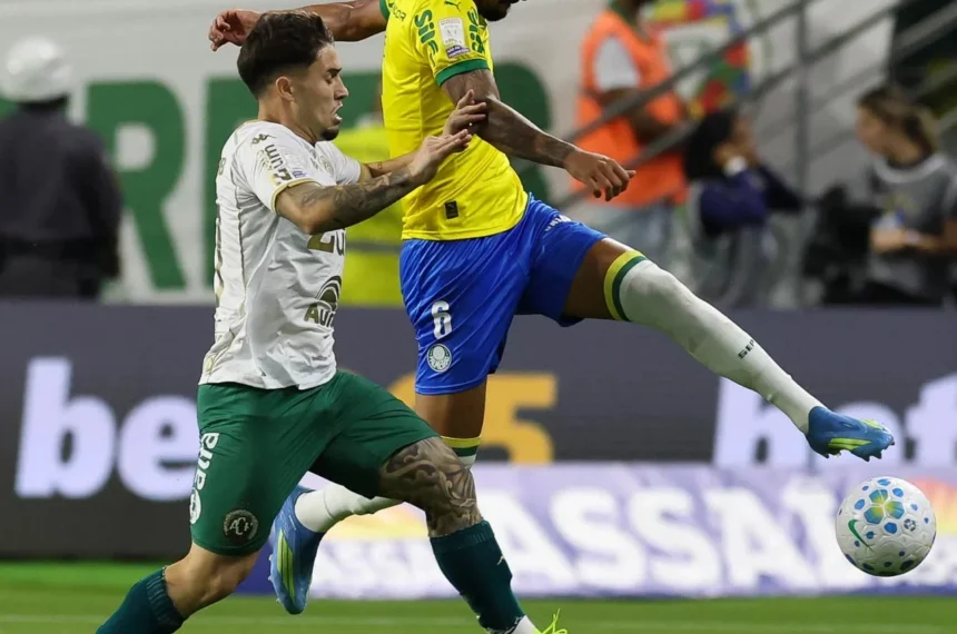 Palmeiras
