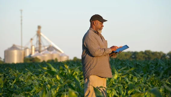 Desperdício de alimentos cai com plasticultura no agronegócio
