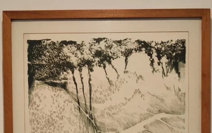 Pinacoteca de São Bernardo expõe obras de artistas mulheres