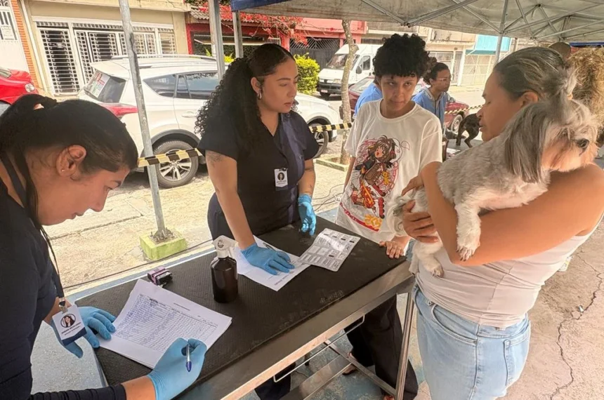 atendimento veterinário