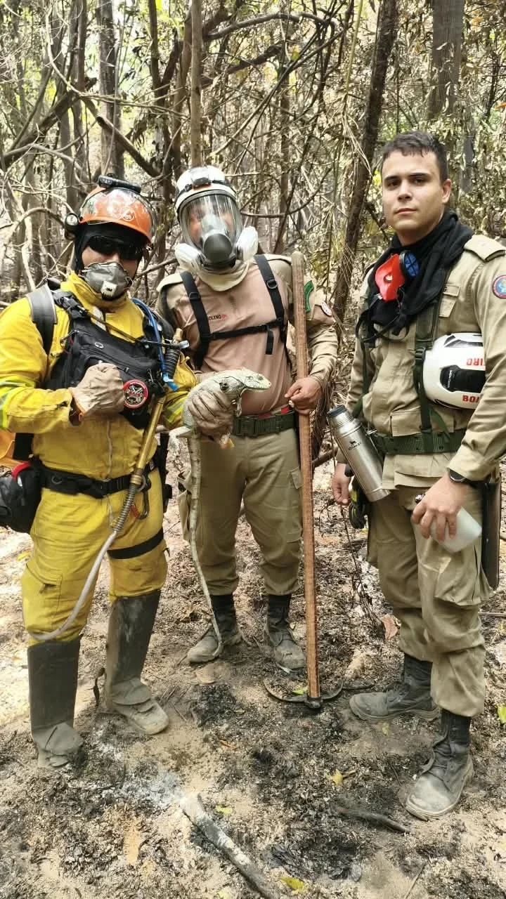 Corpo de Bombeiros de SP no Amazonas - (Divulgação/SSP)