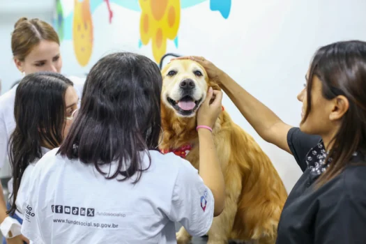 Caminho da Capacitação leva cursos a 17 cidades em SP