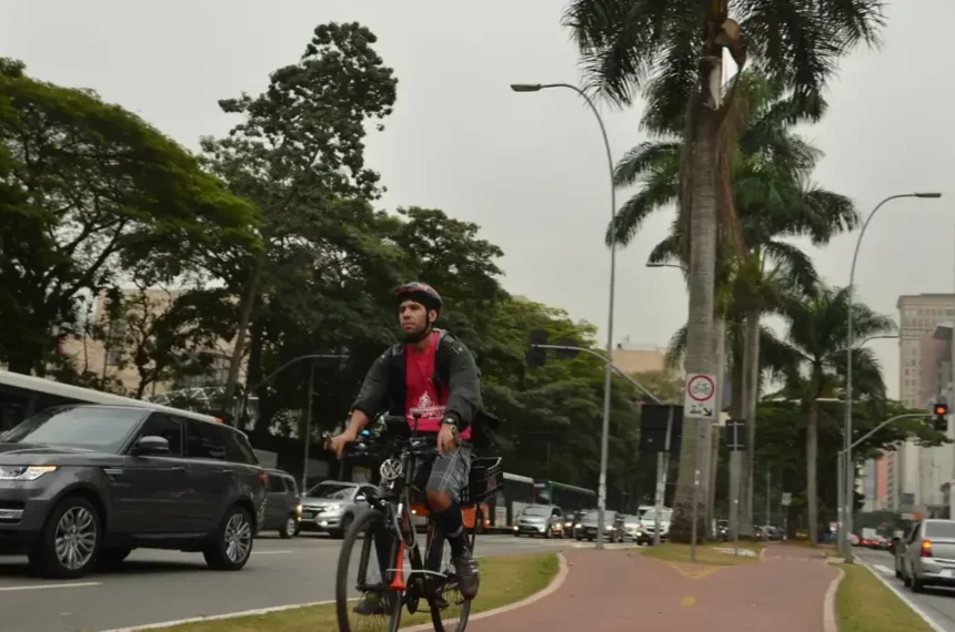 Ciclovias - Ciclistas