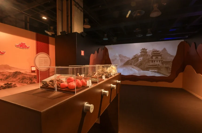 Exposição sobre a Grande Muralha da China - (Tati Ferro)