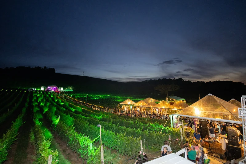 Natal nos Vinhedos une vinho e shows grátis na Serra Gaúcha