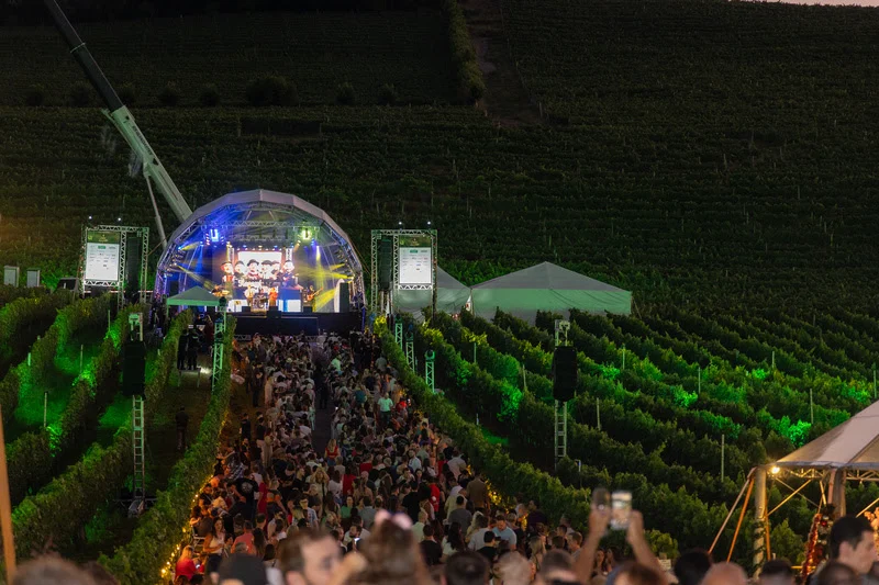Natal nos Vinhedos une vinho e shows grátis na Serra Gaúcha
