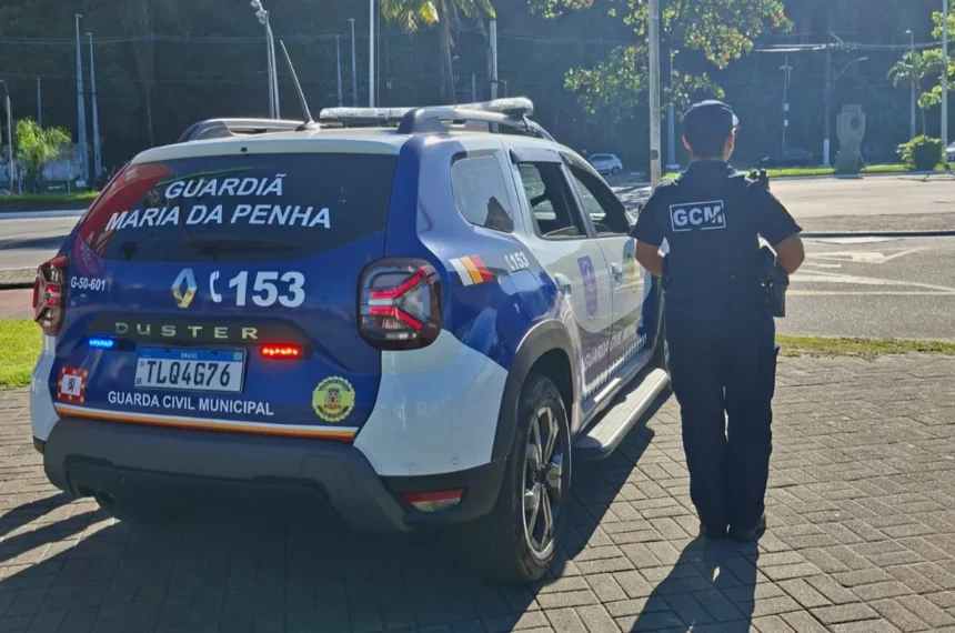  violência doméstica 