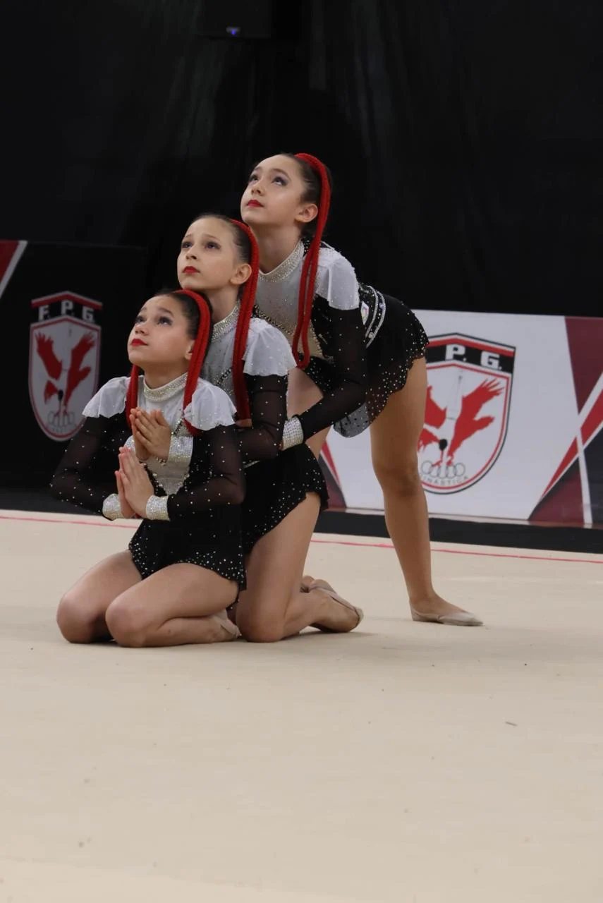 Ginástica Rítmica de São Bernardo - Divulgação/PMSBC