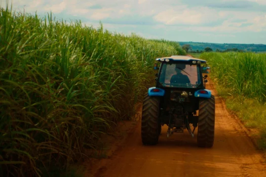 Governo de SP prepara agro para enfrentar eventos climáticos extremos