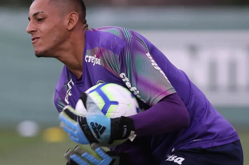 Divulgação / Palmeiras