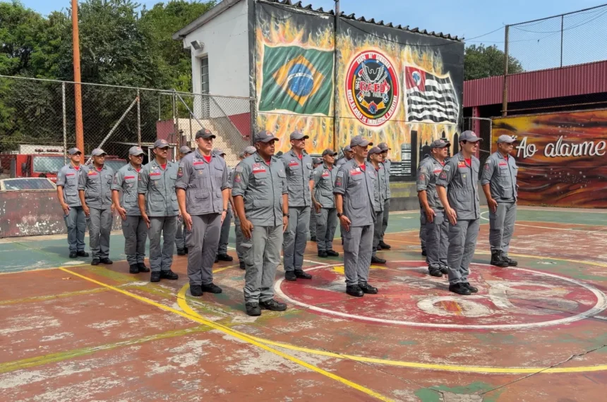 Incêndios florestais no Amazonas recebem força-tarefa de SP