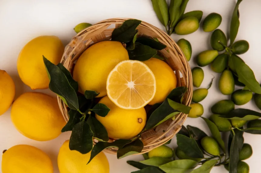 La Dolce Vita na La Cantina - Limoncello